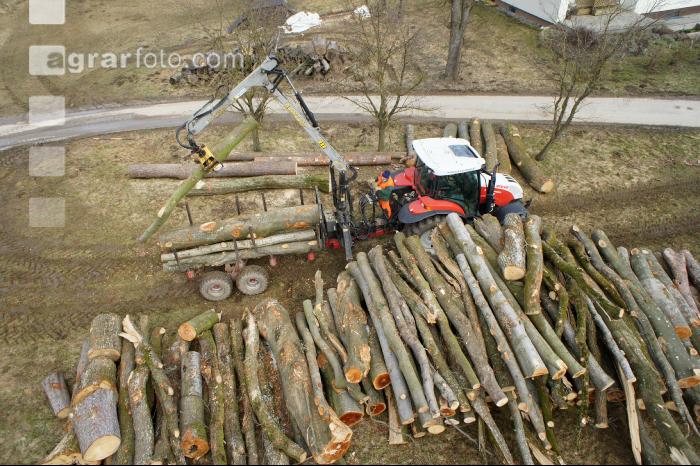 Holz Rückewagen 1