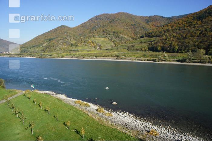 Wachau 1