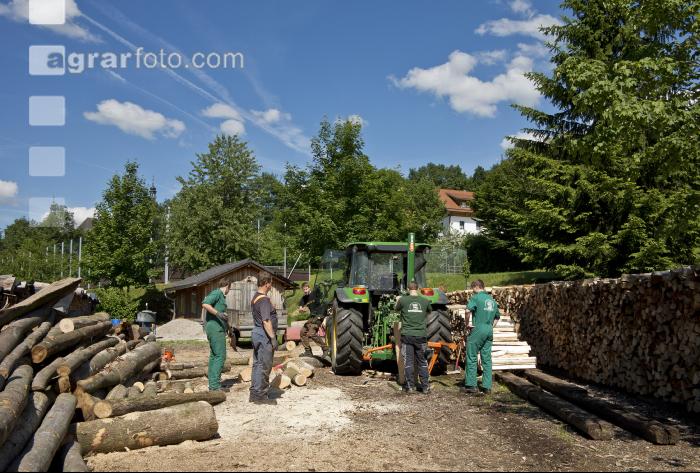 Brennholz spalten 1
