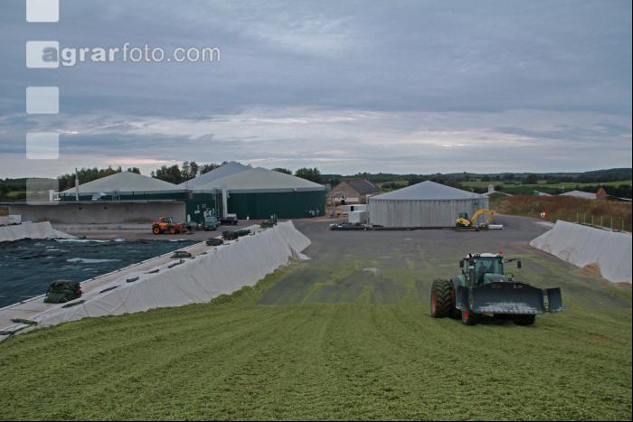 Maisernte Silage J 16