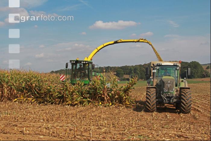 Maisernte Silage J 5