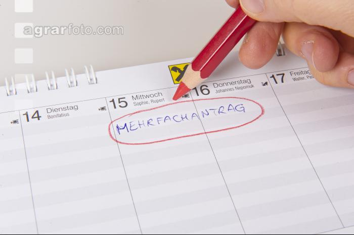 Datum Mehrfachantrag