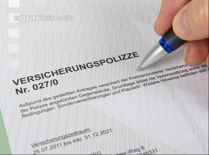 Versicherungspolizze 4
