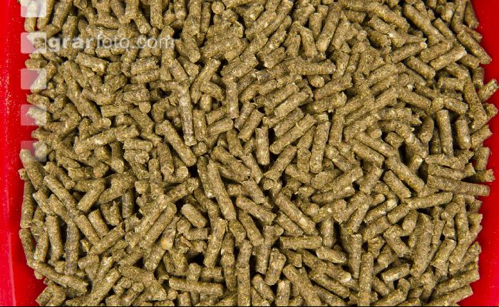 Kaninchen vital 3