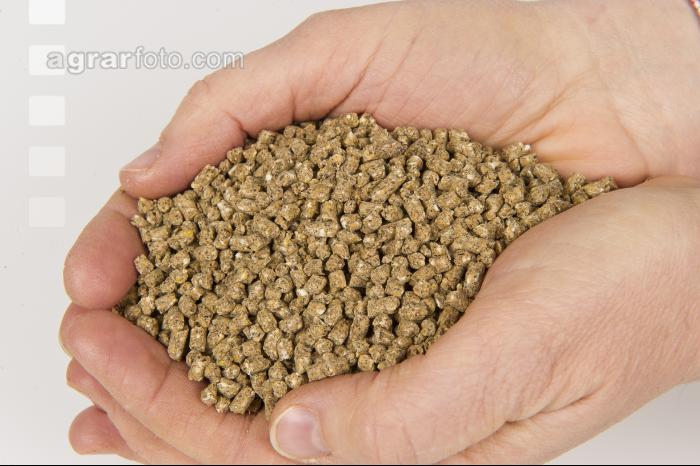 Kükenkorn Megalac 4