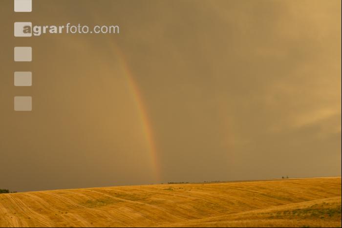 Regenbogen 1