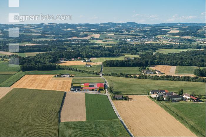 Kulturlandschaft im Juli 2