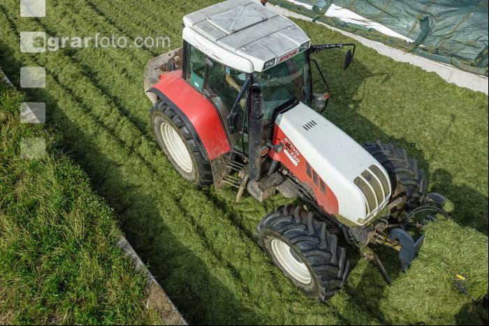 Silage verdichten 11