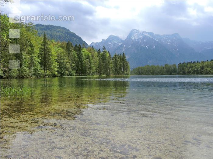 Almsee 4