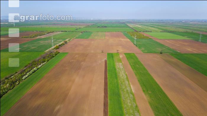 Agrarsteppe 4
