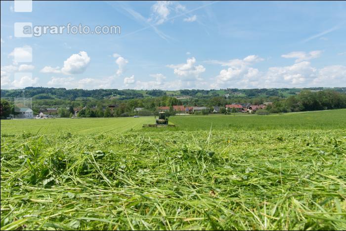 Dauerwiese mähen 16