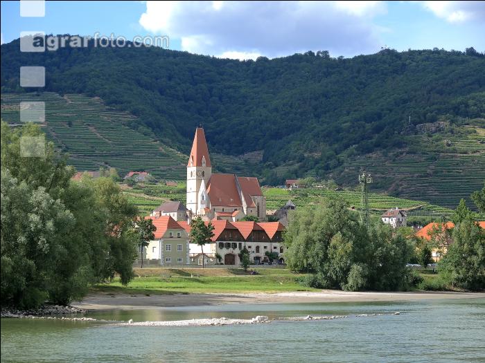 Wachau Sommer 3