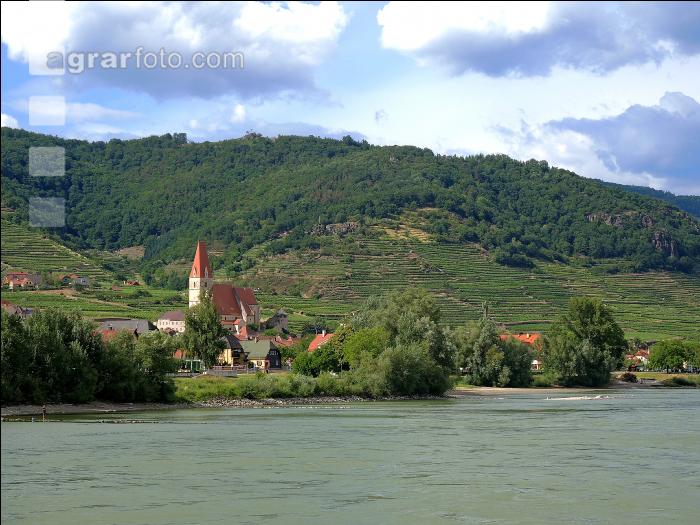 Wachau Sommer 1