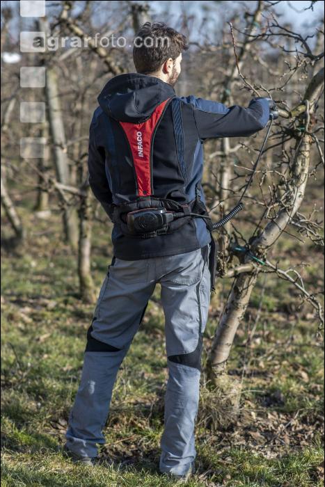 Obstbaumschnitt 16