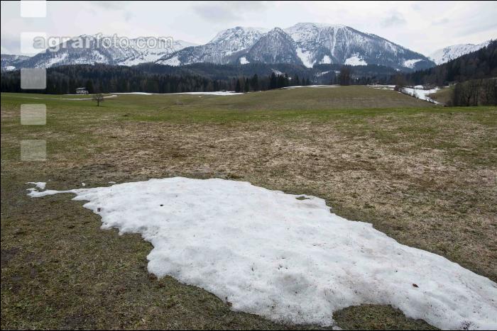Wiese nach Winter 1