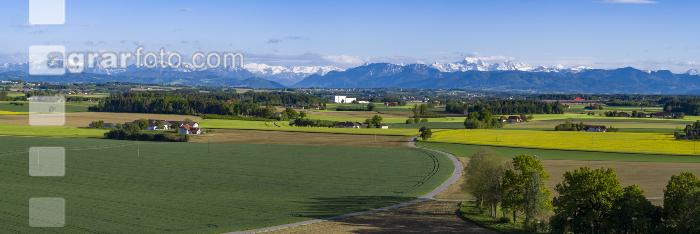 Alpenvorland Mitte Mai 2