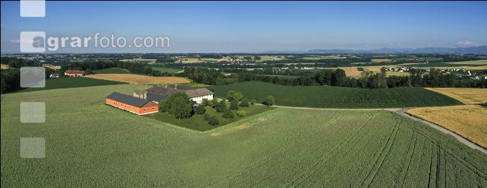 Alpenvorland Hochsommer 4