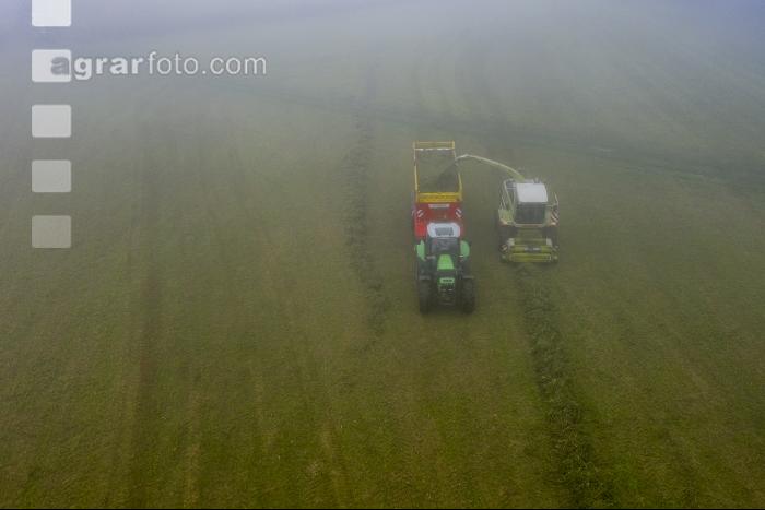 Gras häckseln im Nebel 2