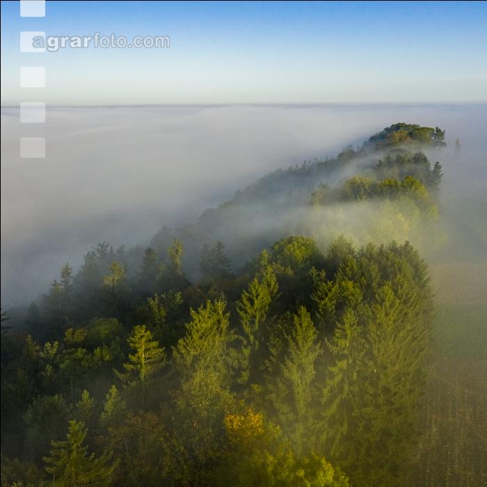 Almtal Morgenstimmung 9