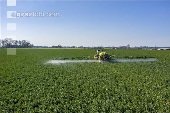 Raps Wachstumsregler April 20