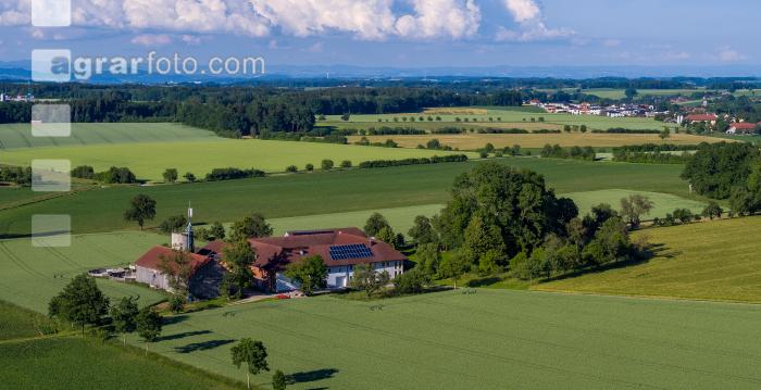 Getreidefelder im Juni 15