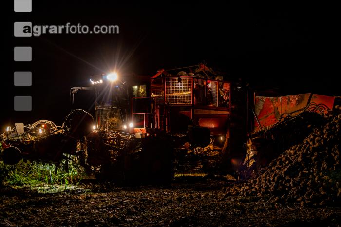 Rübenernte in der Nacht 1