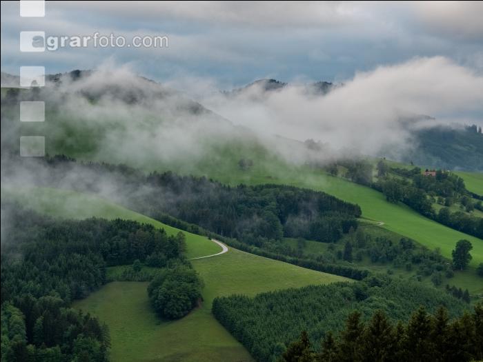 Kühler Sommermorgen 6