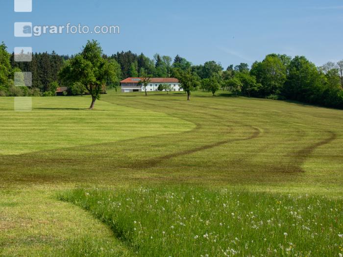 Gülle nach 1.Schnitt