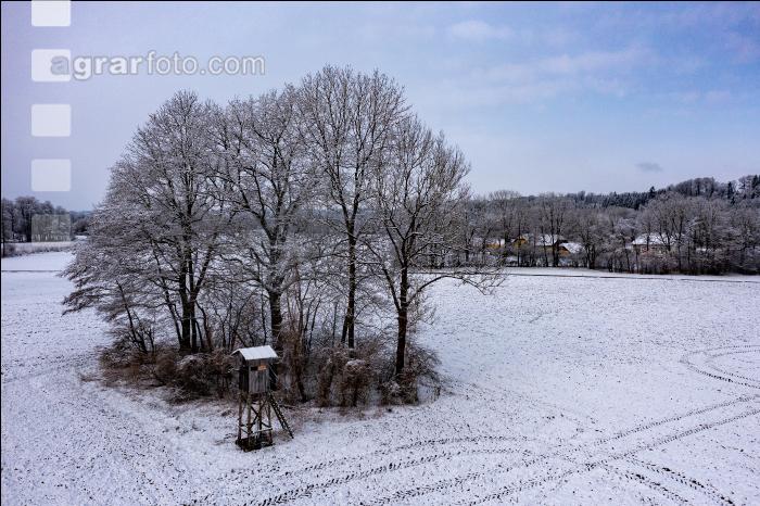 Winter Wonderland 26