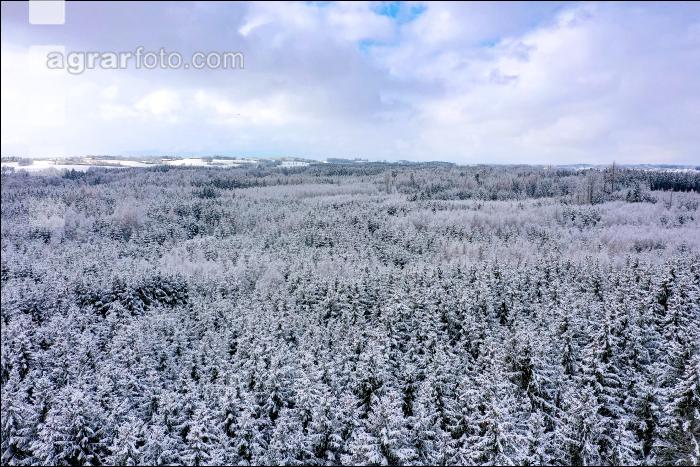 Winter Wonderland 25