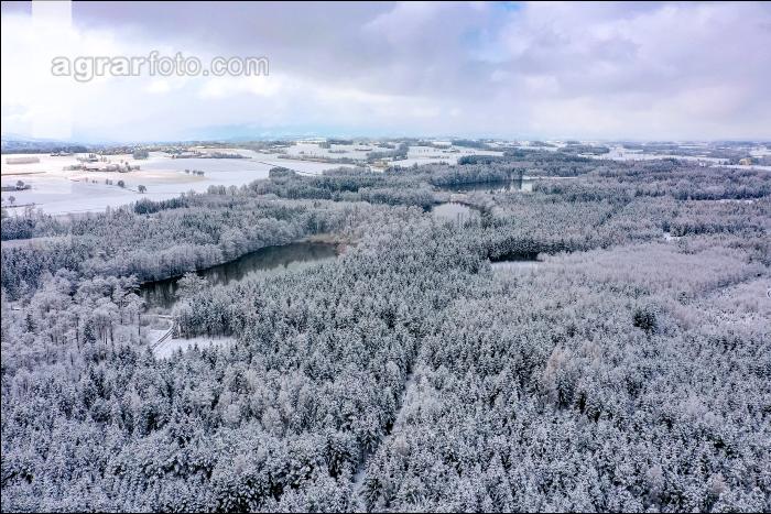 Winter Wonderland 24