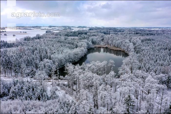Winter Wonderland 23