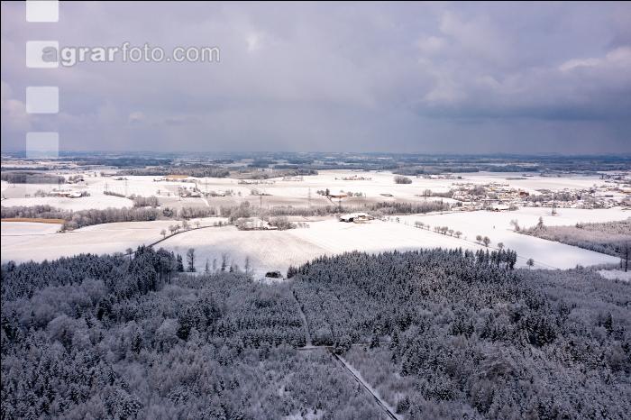 Winter Wonderland 11