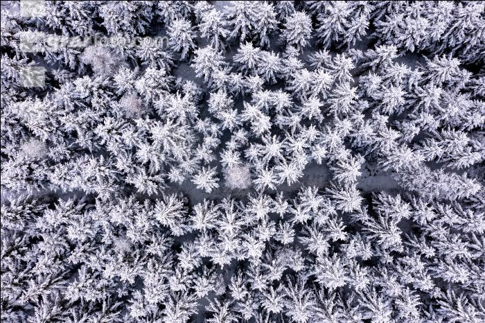 Winter Wonderland 10