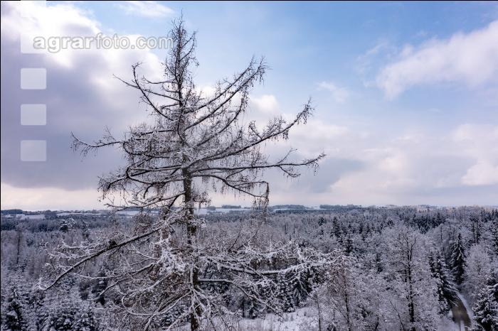 Winter Wonderland 7