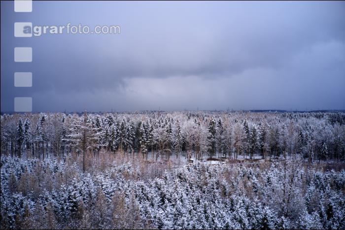 Winter Wonderland 34