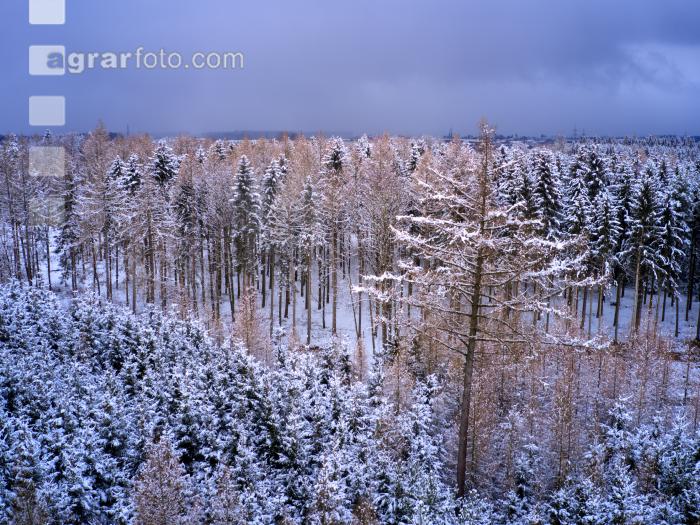 Winter Wonderland 33