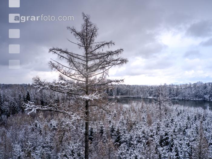 Winter Wonderland 31