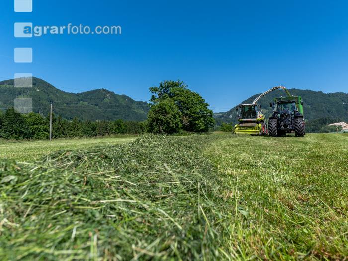 Gras häckseln im Berggebiet 8