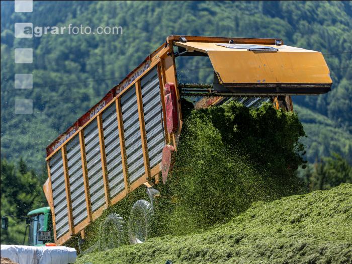 Fahrsilo 112