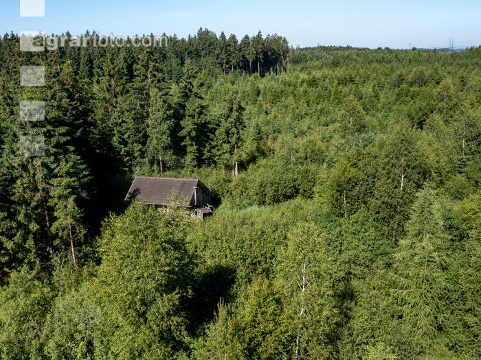 Jagdhütte