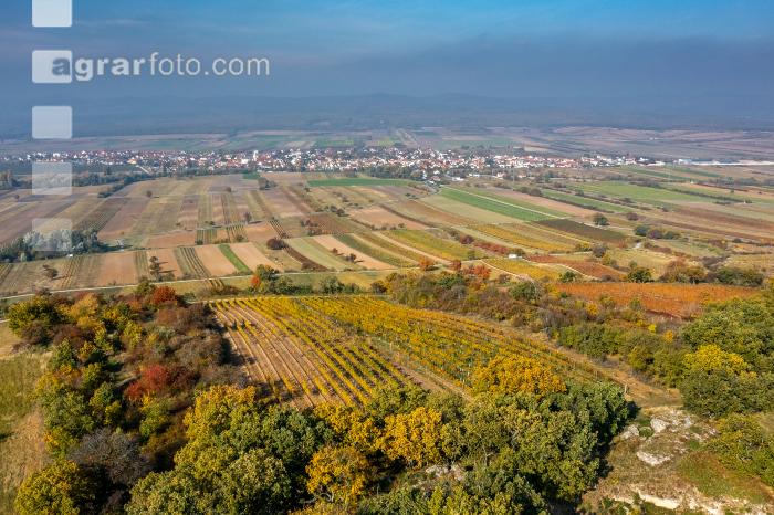 Schützen im Oktober 6
