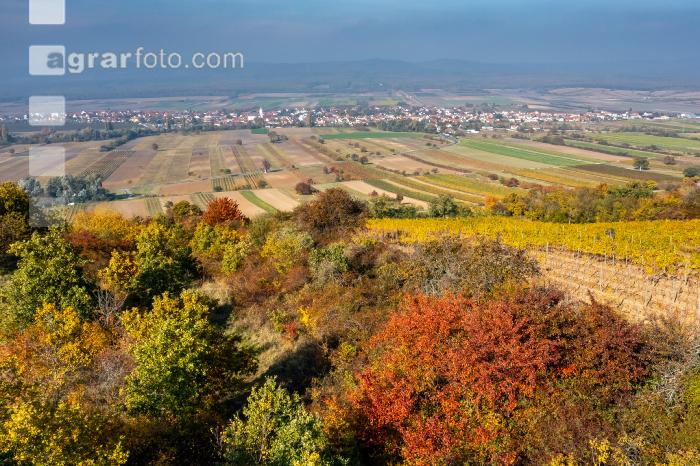 Schützen im Oktober 5