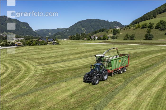 Gras häckseln im Berggebiet 33