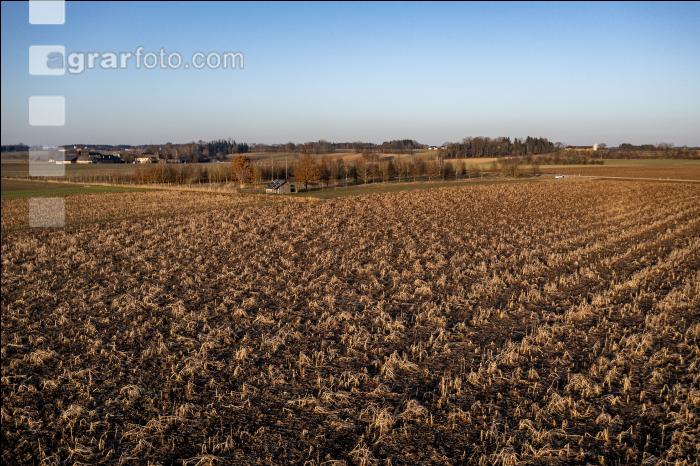 Ackerland Mitte Februar 2
