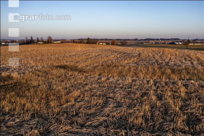 Ackerland Mitte Februar 1