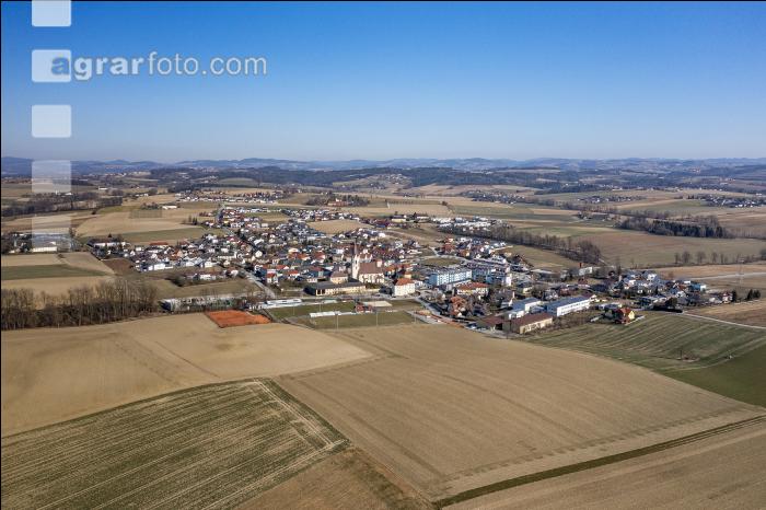 Ried in der Riedmark 1