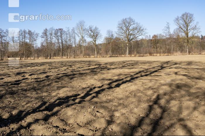 Trockenheit März Acker 6