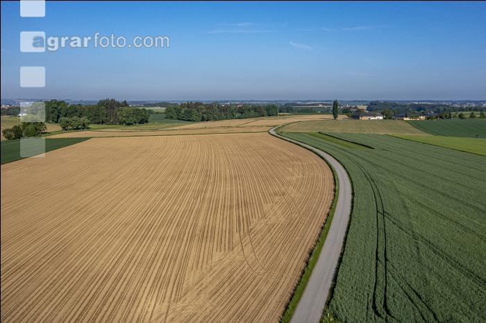 Agrarland im Mai 17
