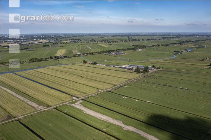Polder Niederlande 11